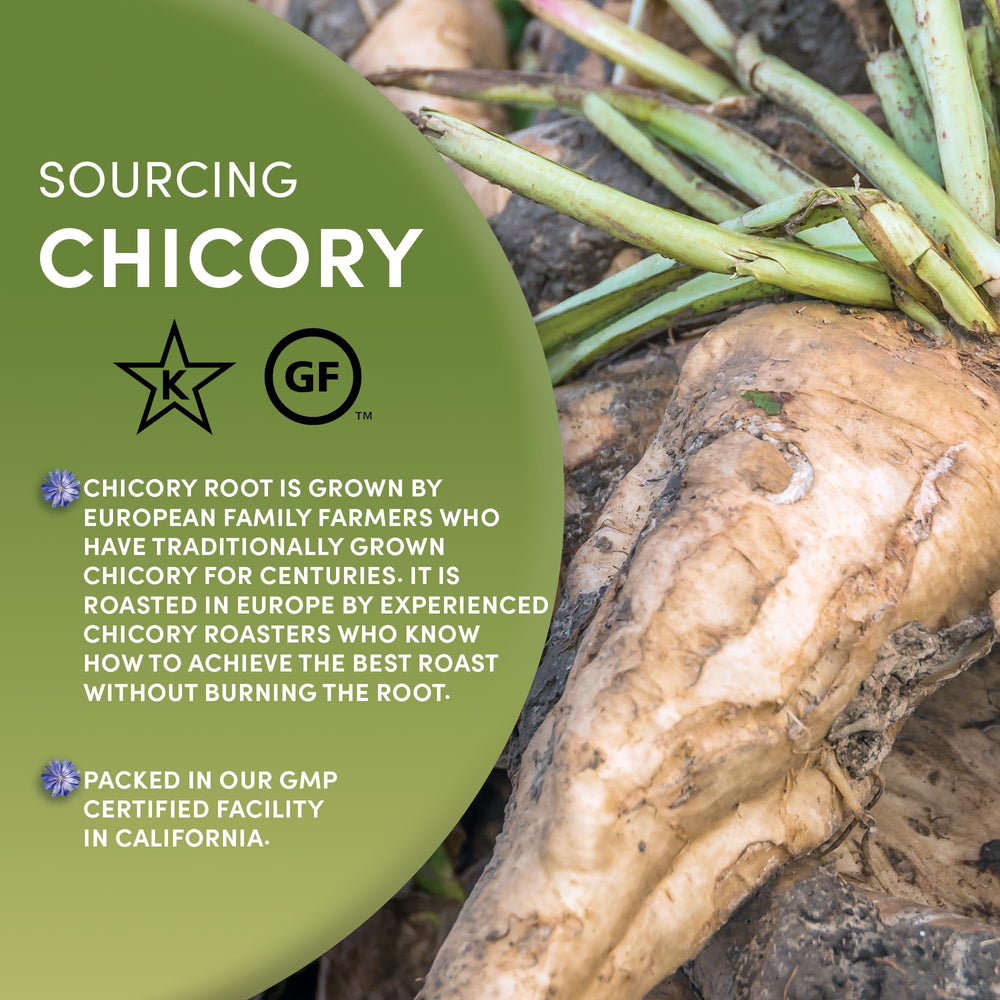 Worldwide Botanicals prebiotic chicory fiber highlights soluble fiber supporting daily gut-friendly rituals.