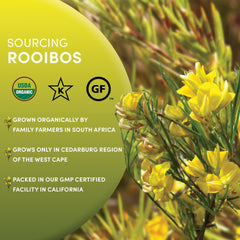 Worldwide Botanicals Rooibos Tea reveals rich amber color and natural sweetness.