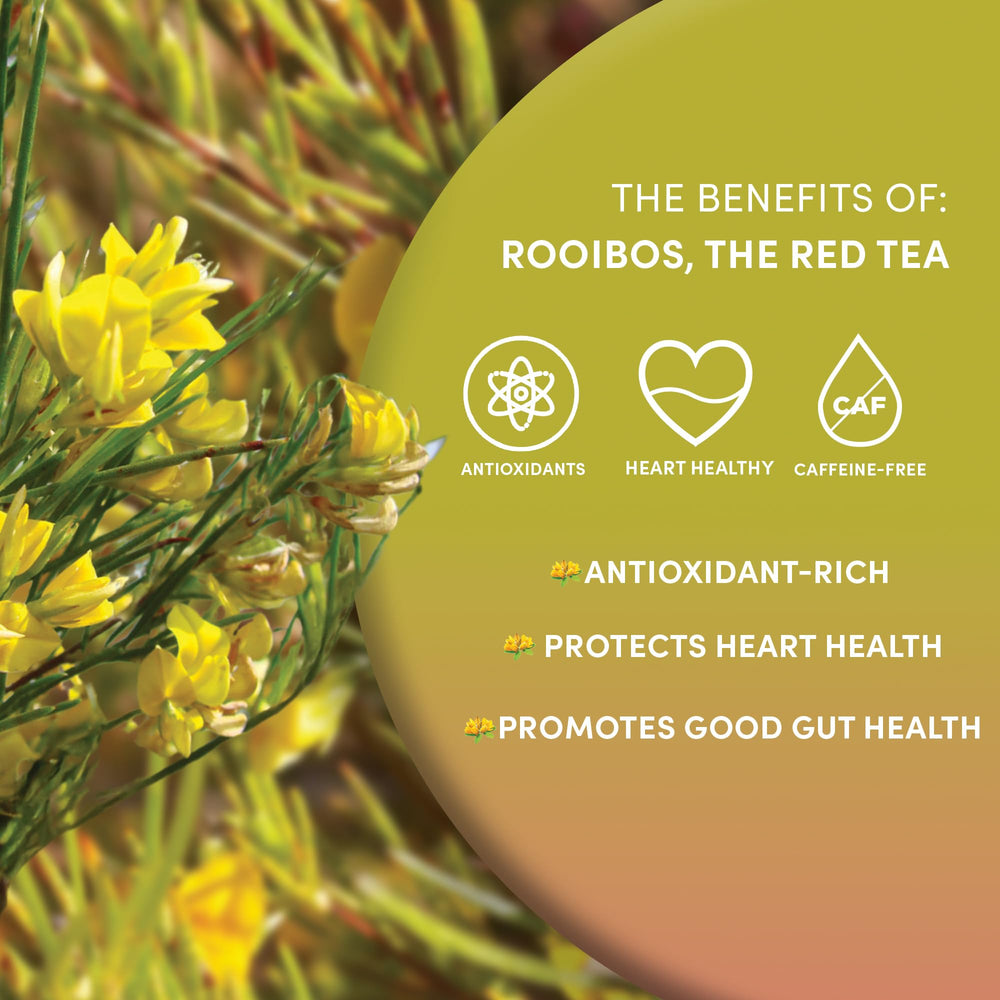 Worldwide Botanicals Rooibos Tea brews smooth in cup, great for daily ritual.