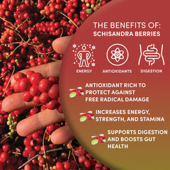 Worldwide Botanicals Schisandra tea infusion steeping into a vibrant cup.