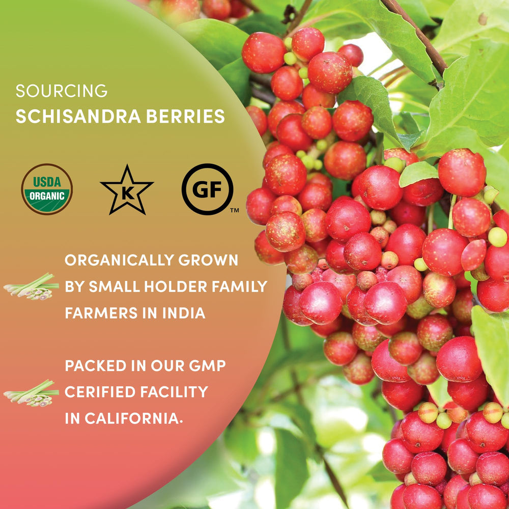 Worldwide Botanicals Schisandra berries added to yogurt or smoothies for flavor and nutrients.