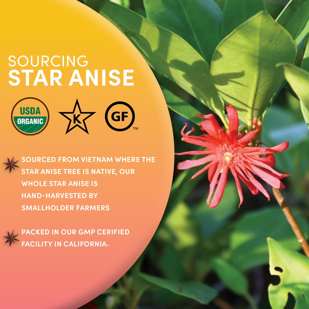 Worldwide Botanicals star anise spice blends for baking and liqueurs