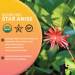 Worldwide Botanicals star anise spice blends for baking and liqueurs