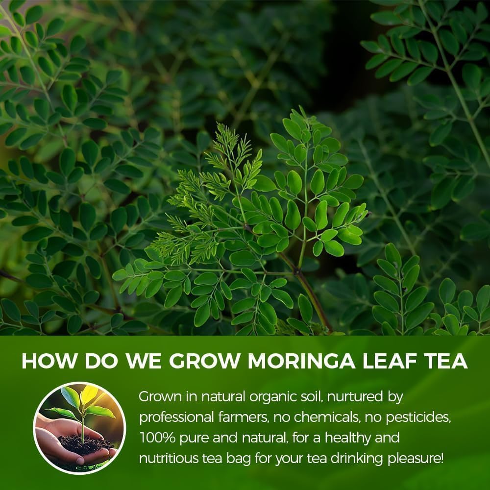 WOTIHA adhesive-free, food-grade tea bags ensure purity in brew