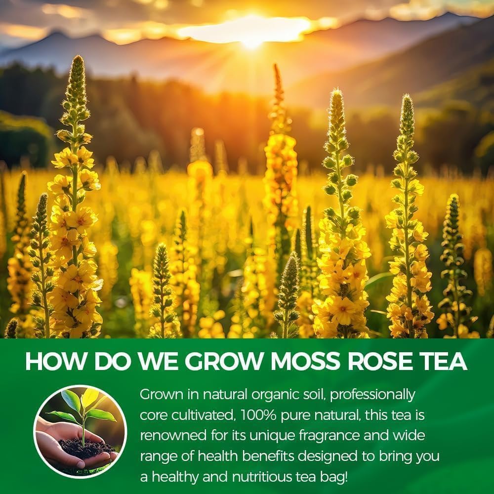 Brewing guide image showing 4-5 minute steep for WOTIHA tea