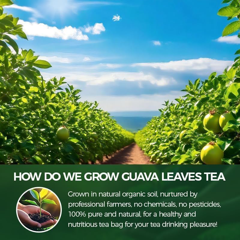 Iced WOTIHA guava leaf tea served in a glass for refreshment