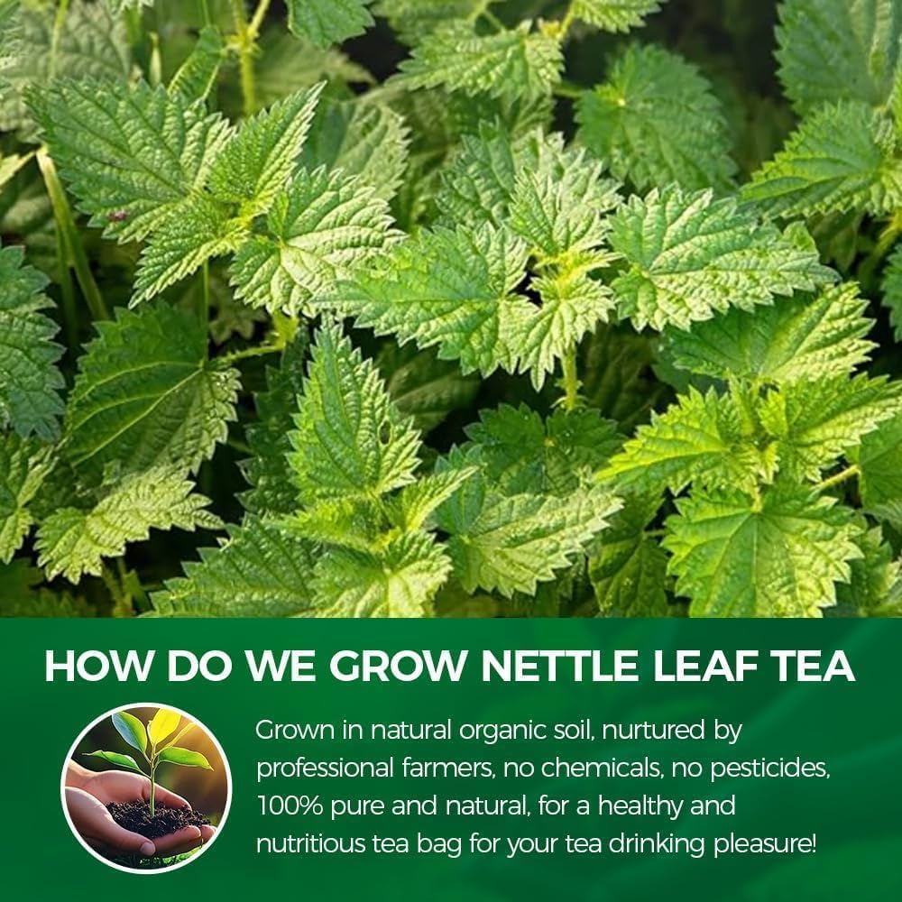 Iced WOTIHA nettle tea poured over ice in a tall glass