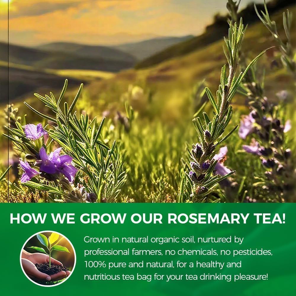 WOTIHA rosemary tea bag in cup ready to steep at home.