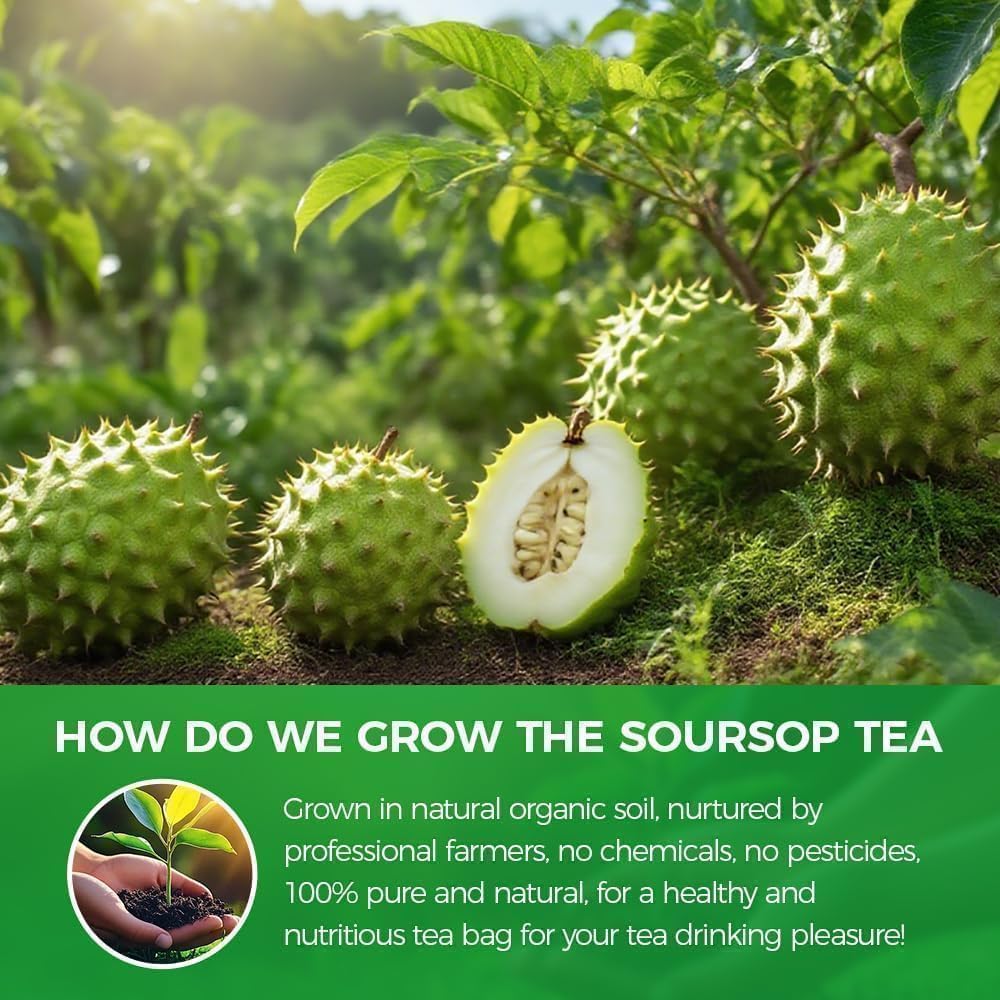 A cup of WOTIHA soursop tea ready to sip.