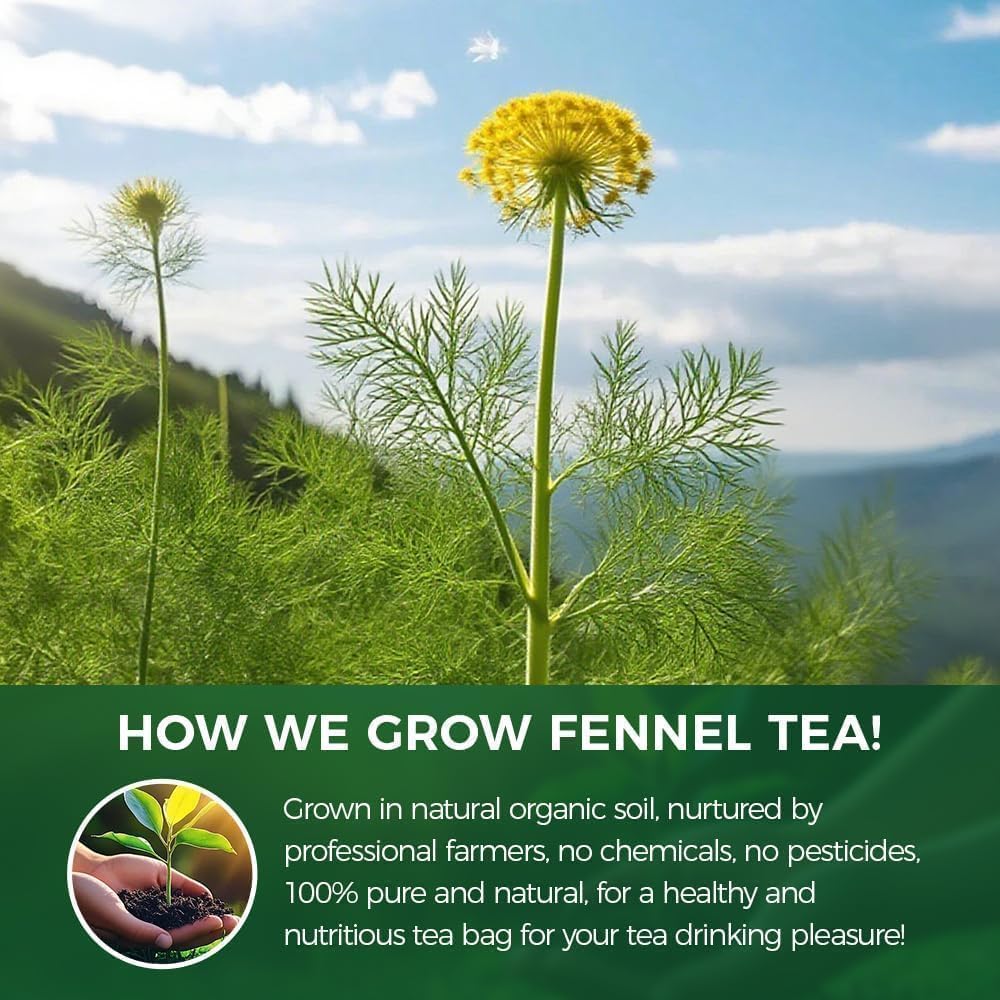 Sun-dried fennel seeds used in WOTIHA tea for authentic flavor