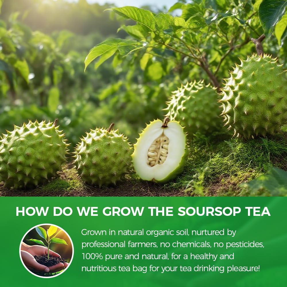 WOTIHA tea infusion cup showcasing a caffeine-free herbal experience
