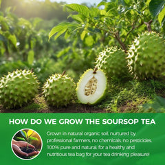 WOTIHA tea infusion cup showcasing a caffeine-free herbal experience