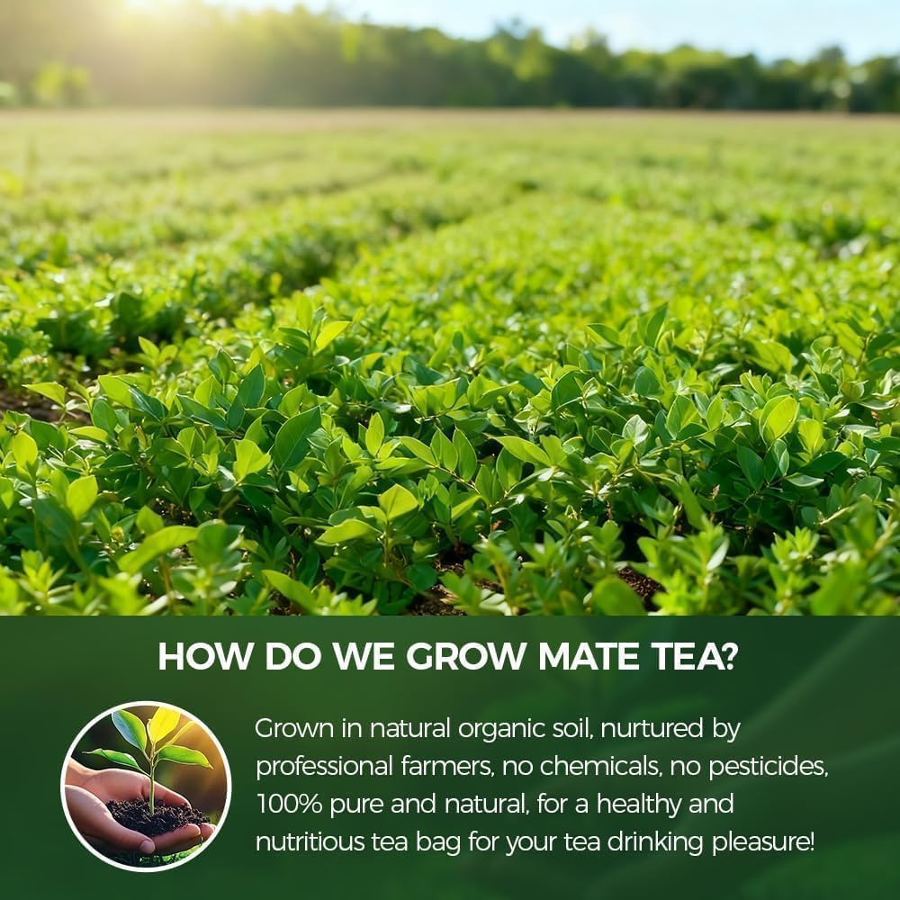 WOTIHA Yerba Mate Argentina origin badge signals authenticity and flavor.