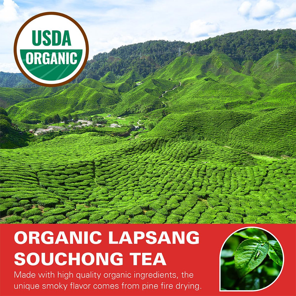 WT WEETEE antioxidant-rich tea close-up highlights polyphenols