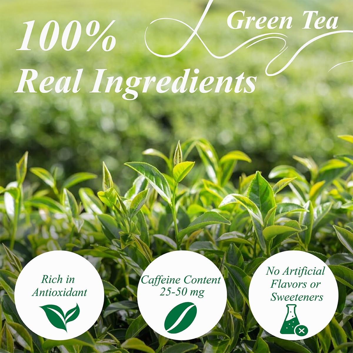 Steeping WT WEETEE green tea bags in hot water for a smooth cup.
