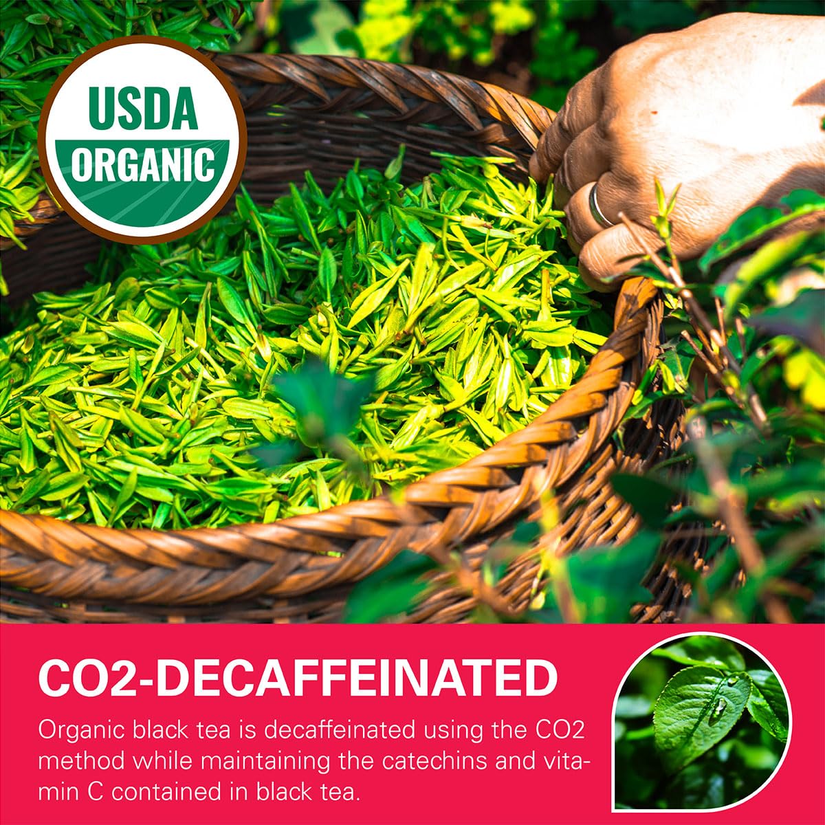WT WEETEE decaf black tea bags in resealable bag preserve flavor and freshness.
