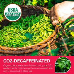 WT WEETEE decaf black tea bags in resealable bag preserve flavor and freshness.