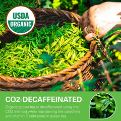 WT WEETEE organic decaf green tea bags in resealable kraft bag for freshness.