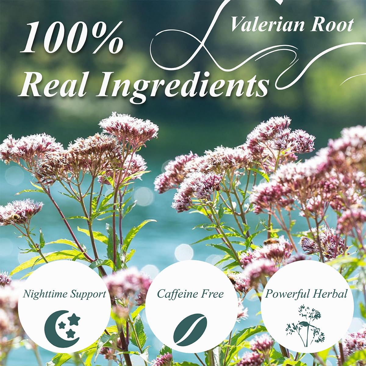 WT WEETEE Valerian root tea bag closeup shows earthy aroma and quality