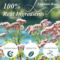 WT WEETEE Valerian root tea bag closeup shows earthy aroma and quality