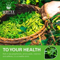 Brewing WT WEETEE green tea bags steeping in a cup to a smooth golden infusion
