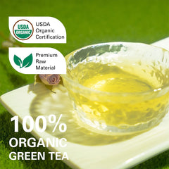 Front view of WT WEETEE organic green tea bags pack for everyday use