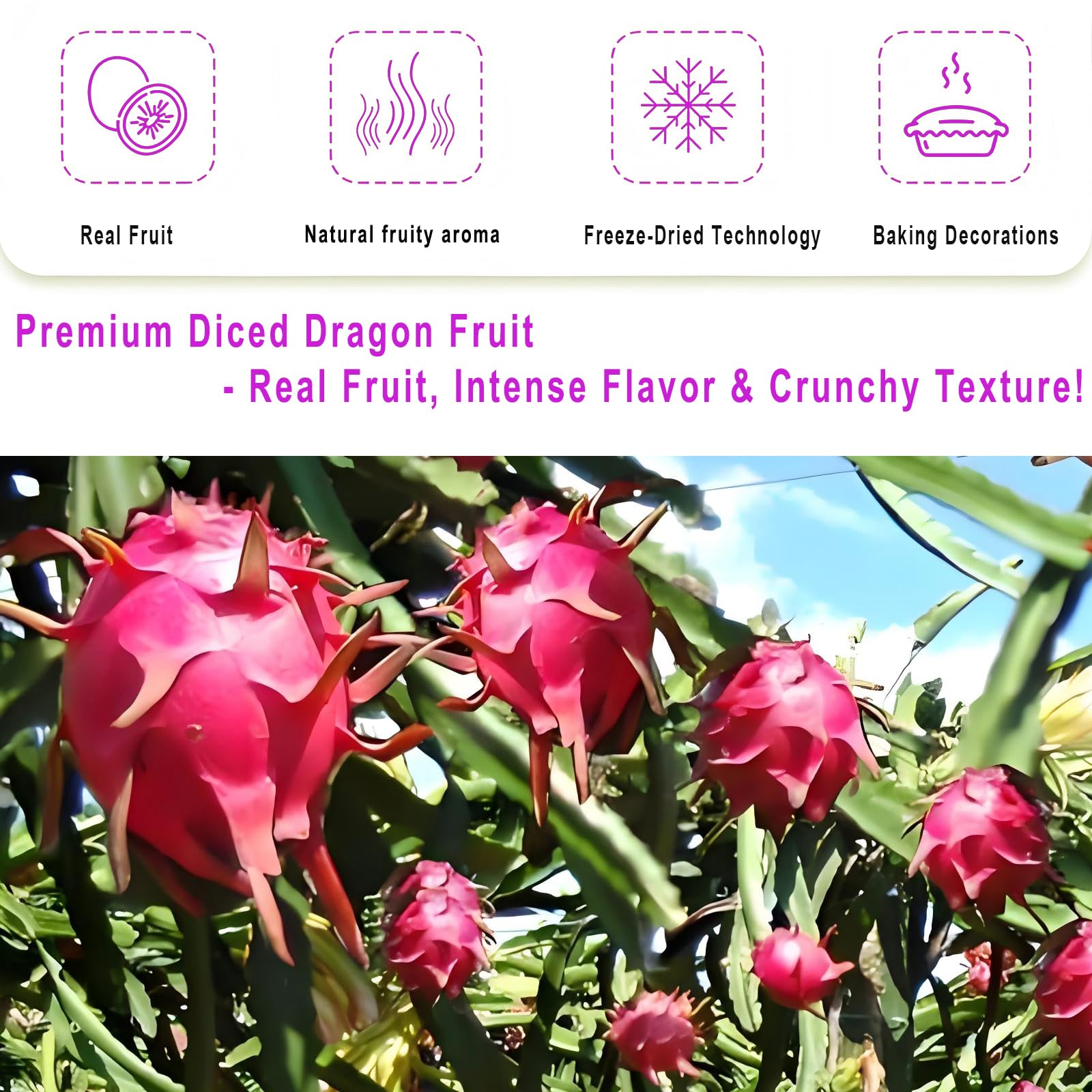 WZQLAOYS dragon fruit cubes blended into smoothies for a natural flavor boost.