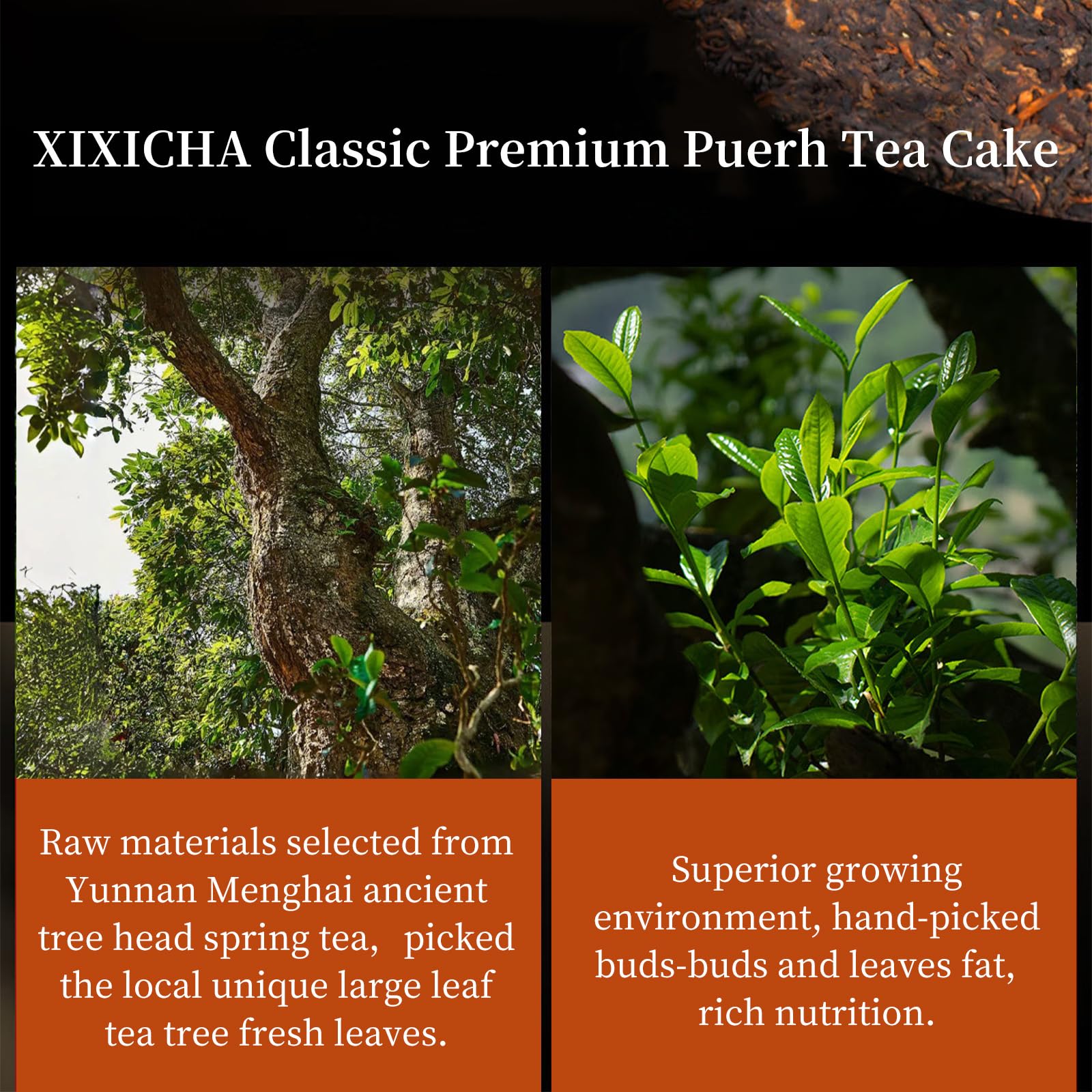 XIXICHA Pu-erh leaves close-up shows natural quality and fragrant notes.