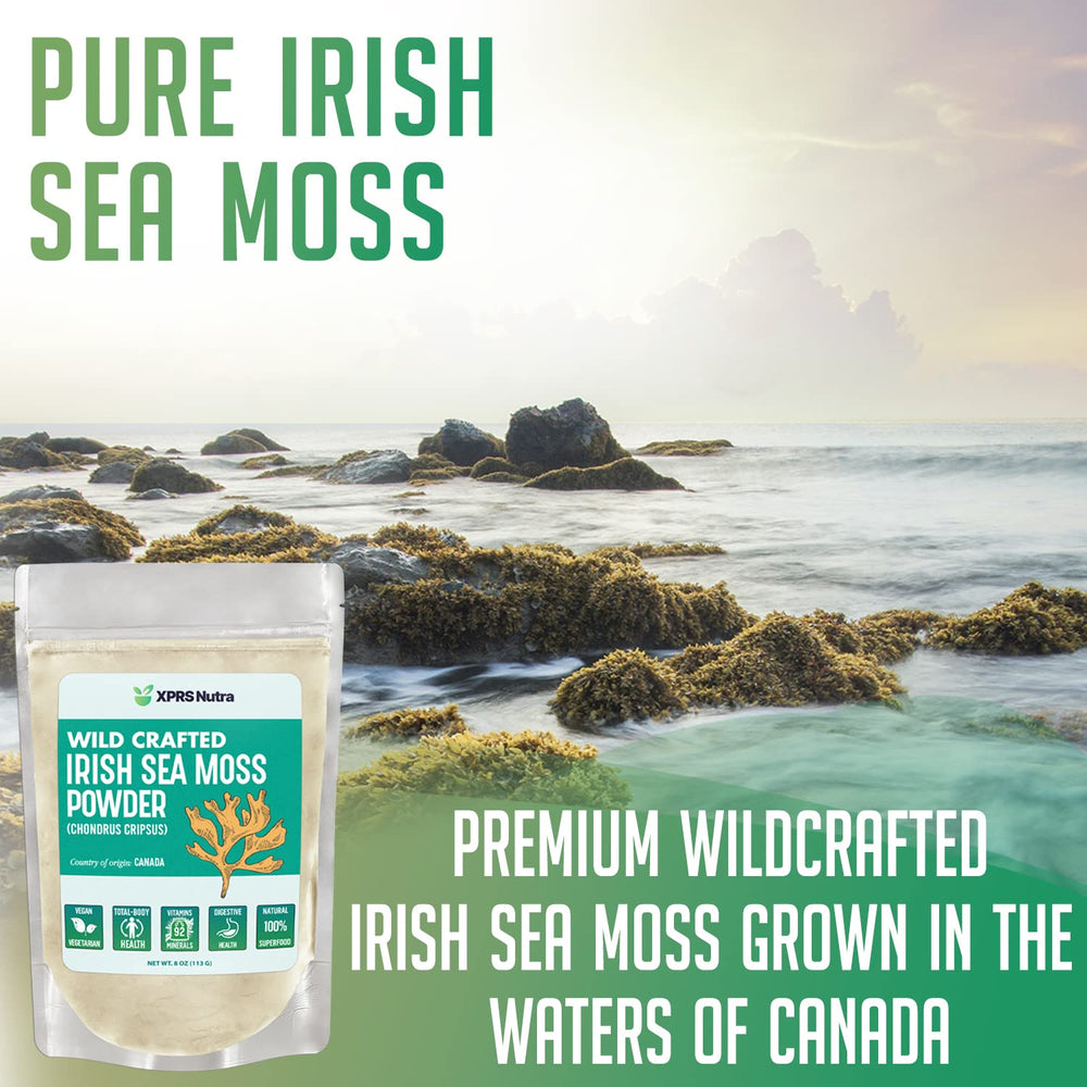 XPRS Nutra sea moss powder being scooped for blending into a bowl