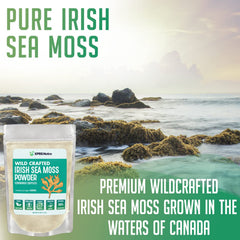 XPRS Nutra sea moss powder being scooped for blending into a bowl