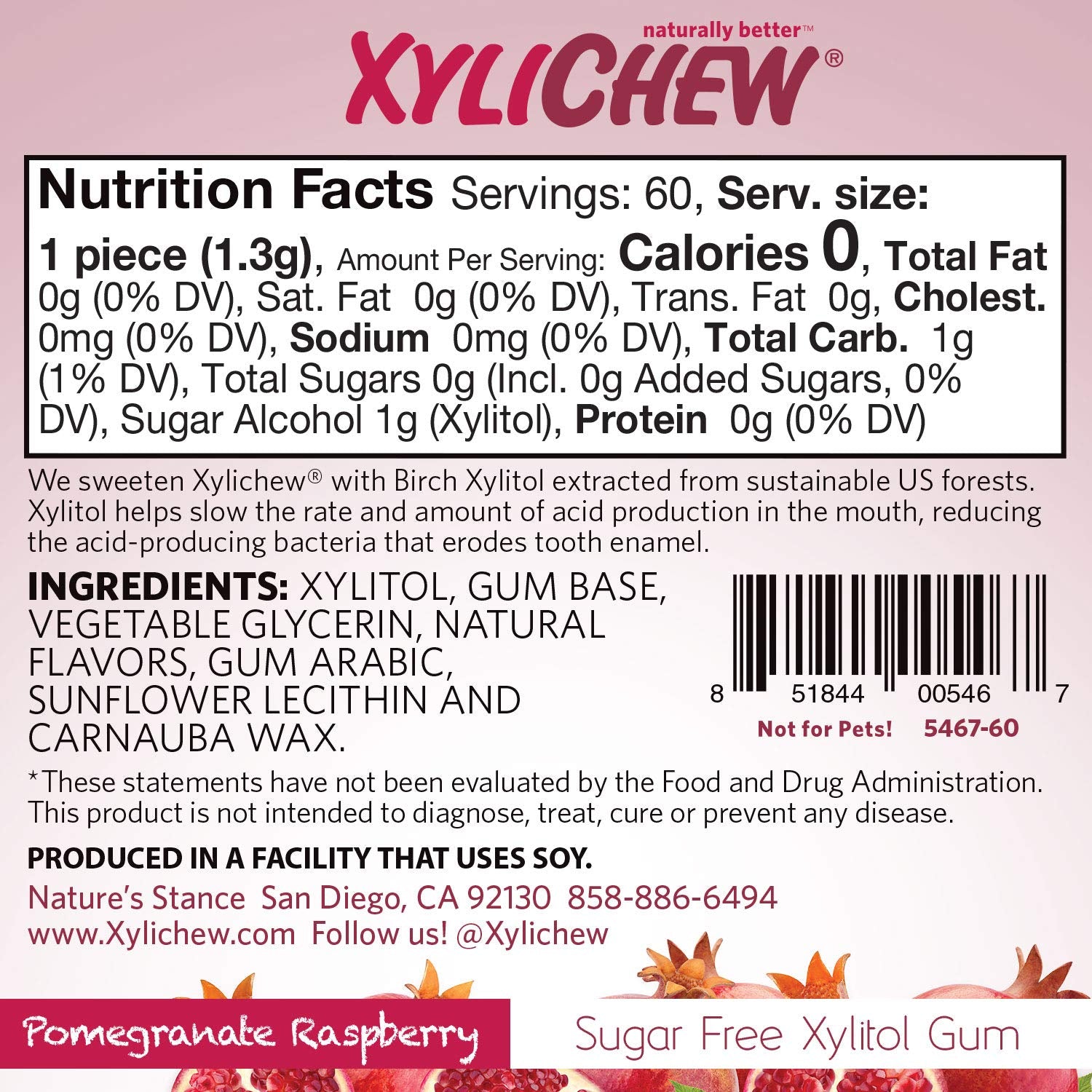 Xylichew Pomegranate Raspberry gum daily-use pack ready for travel.