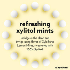 Xyloburst Lemon Mints bag back showing ingredients and notes.
