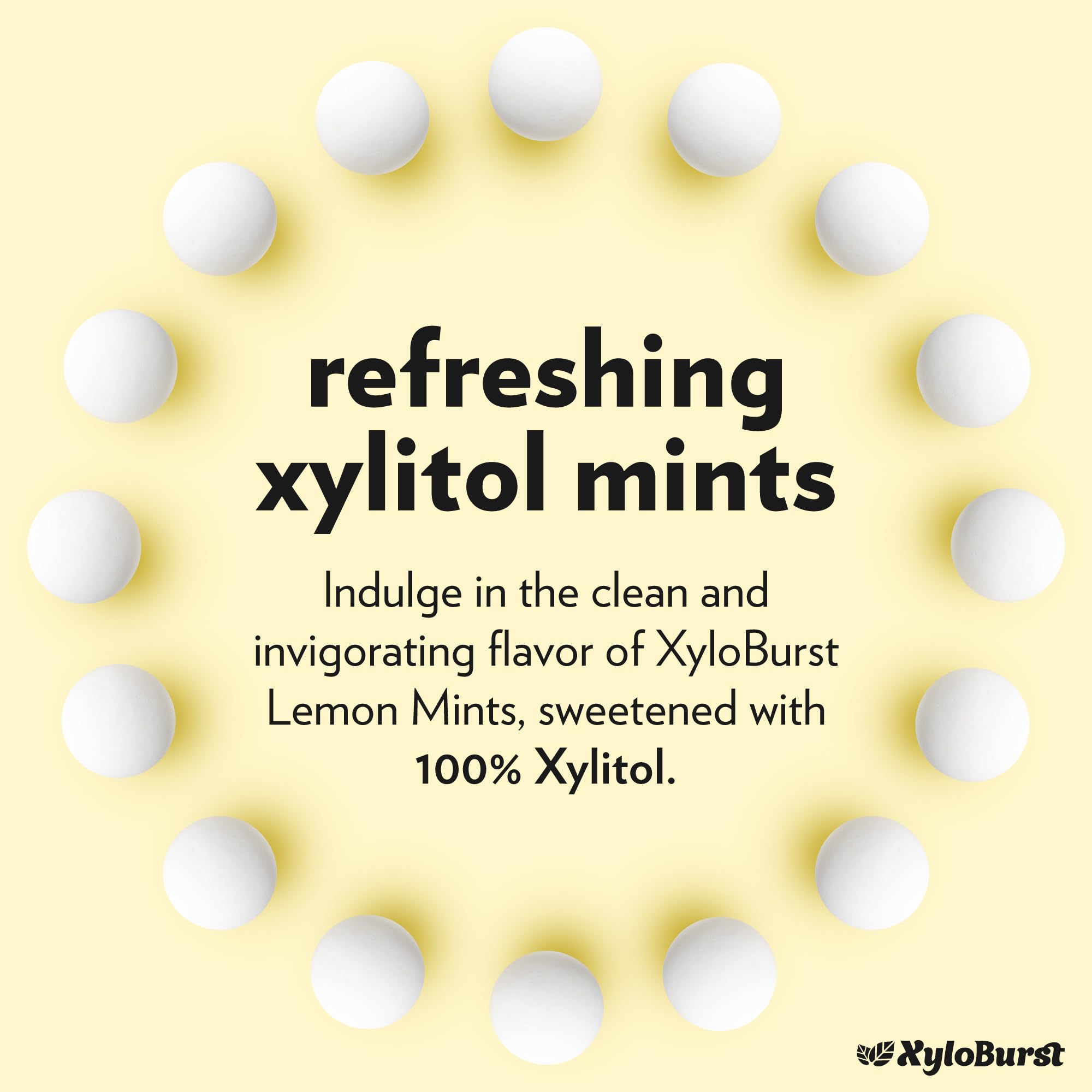 XyloBurst mint packaging foil shows convenient resealable container