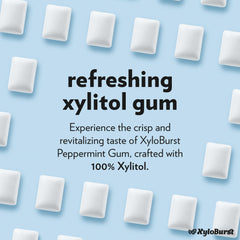 XyloBurst Spearmint gum 500-count bag for all-day freshness