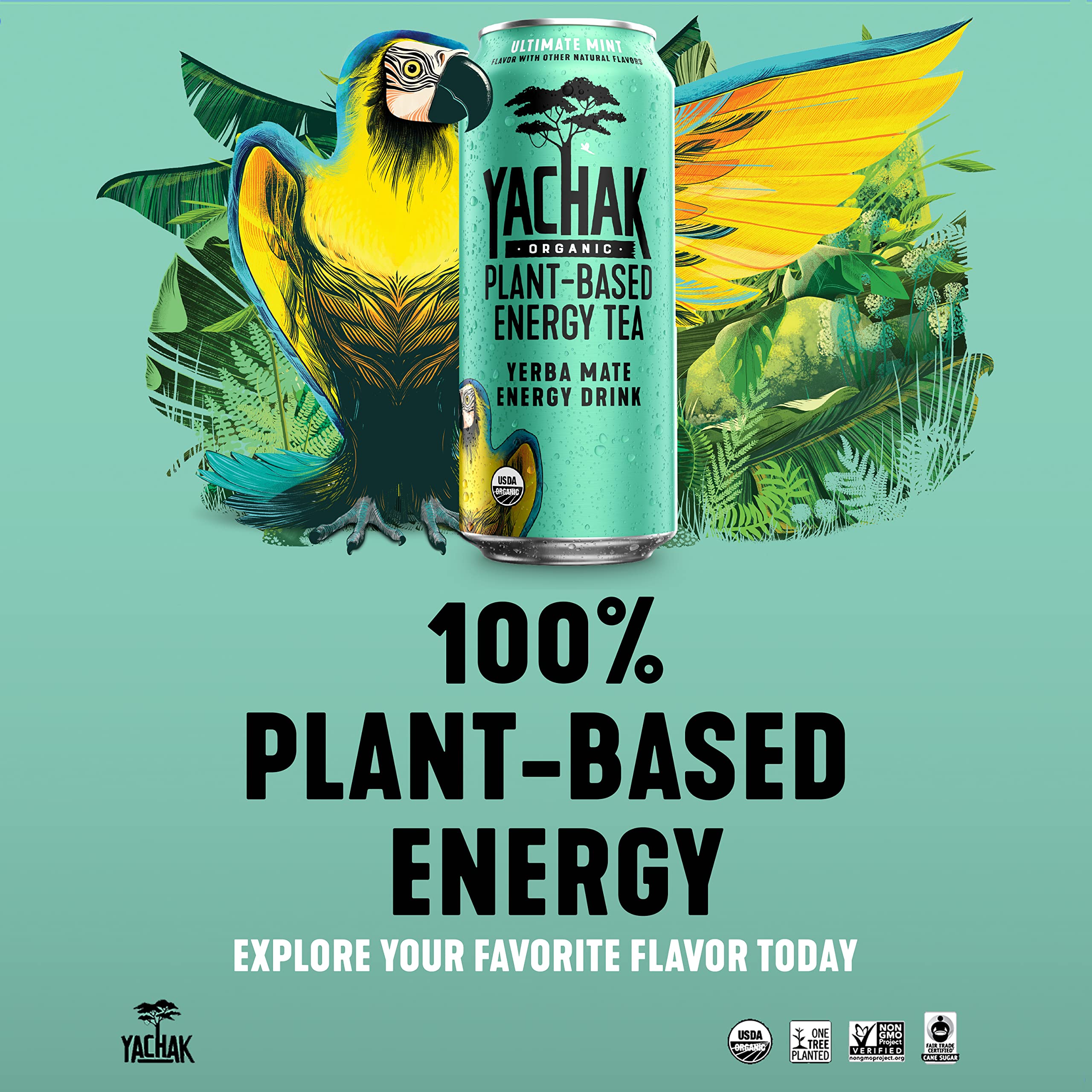 Yachak Ultimate Mint yerba mate served in glass for a chilled sip