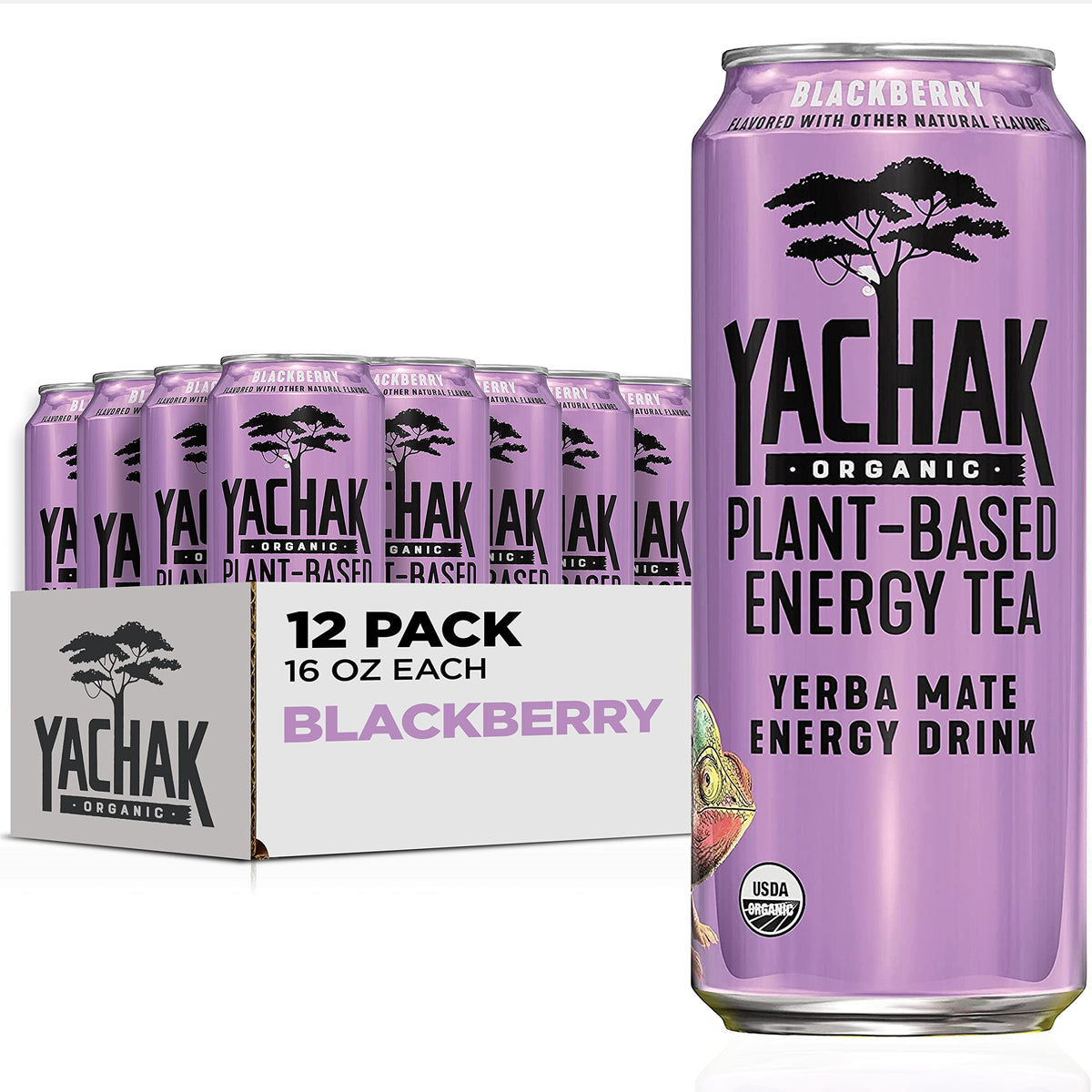 Yachak Yerba Mate Blackberry can front, ready for a natural caffeine lift on the go.