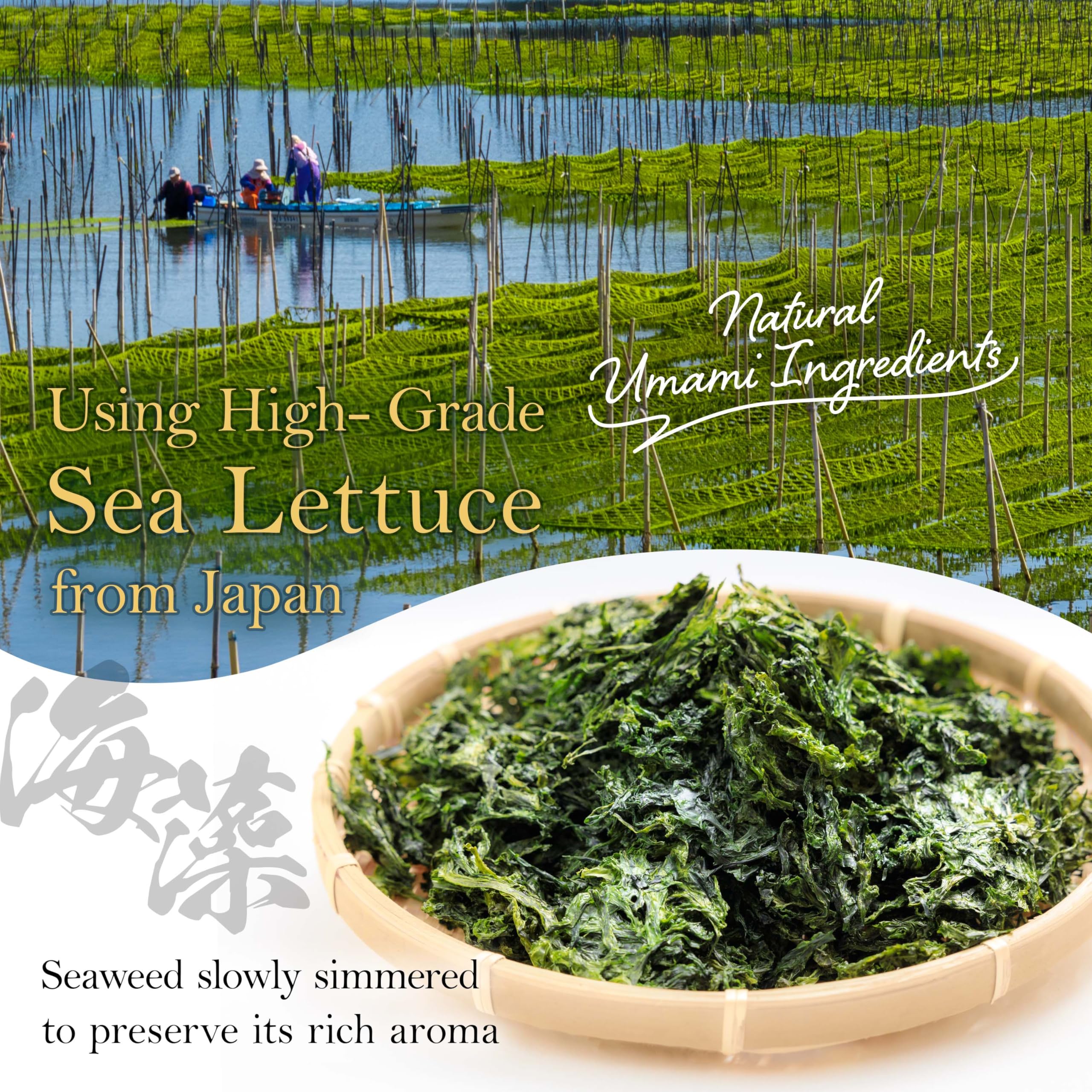 Serving dish featuring YAMASAN KYOTO UJI Nori Tsukudani, enhances rice bowls with savory sweetness.