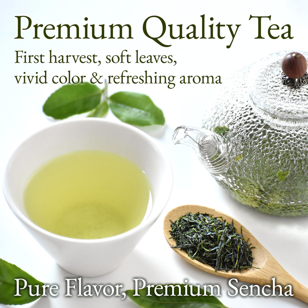 YAMASAN KYOTO UJI Sencha yabukita blend offers a crisp, well-balanced taste suitable for pairing.