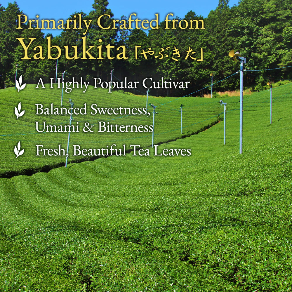 YAMASAN KYOTO UJI Sencha can be enjoyed hot or iced for versatile refreshment.