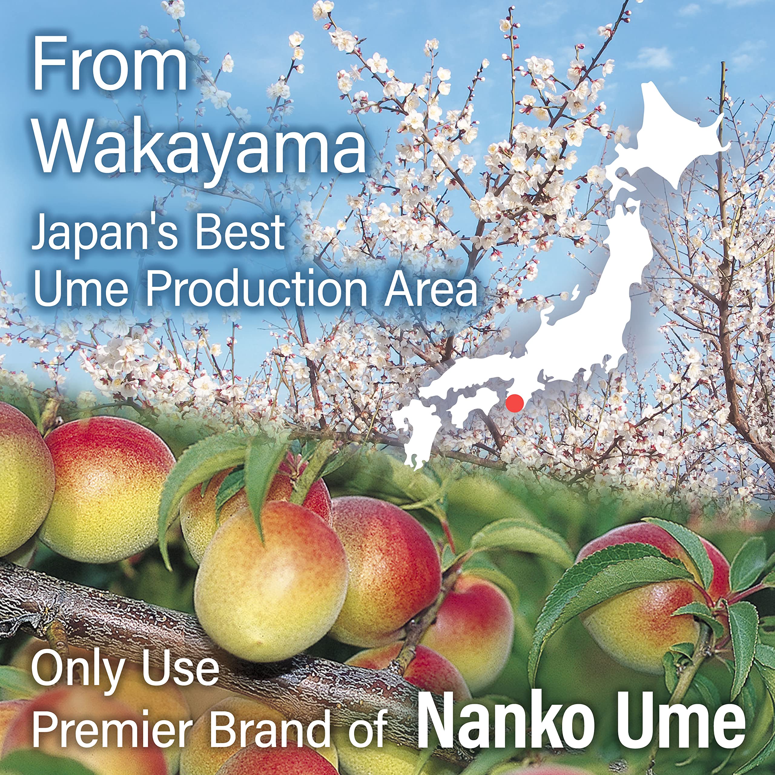 Yamasan Kyoto Uji umeboshi ideal for summer recovery and hydration.