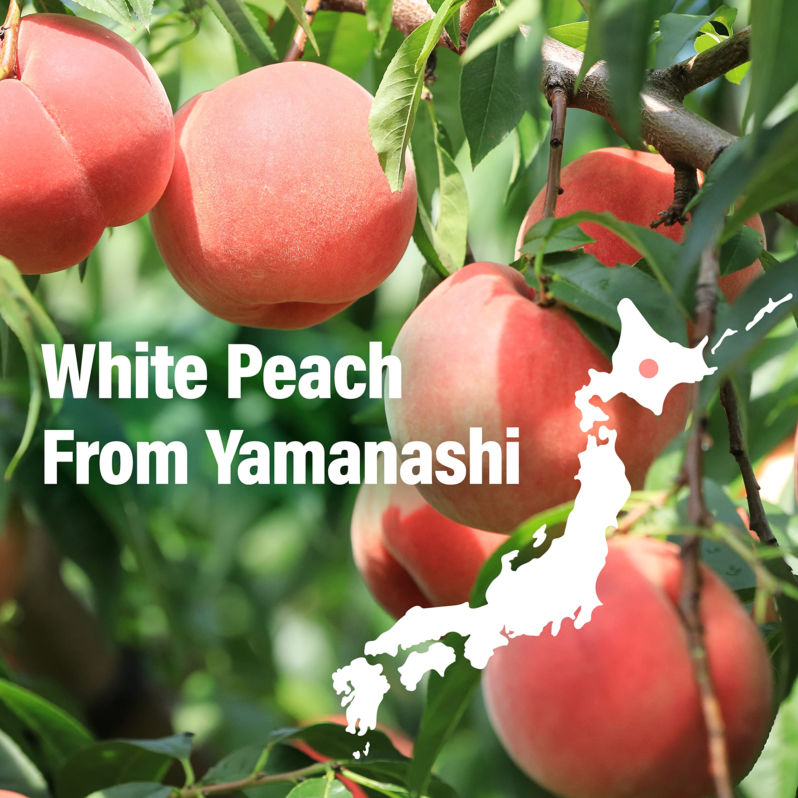 YAMASAN KYOTO UJI white peach juice visual; authentic flavor hint.