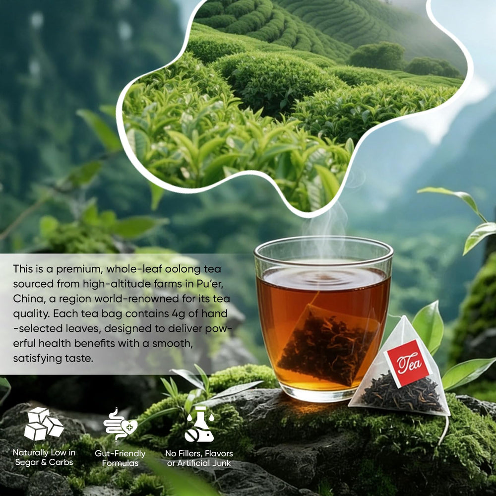 YAMFIUY brewing hot tea cup: easy preparation for a calm, focused moment.