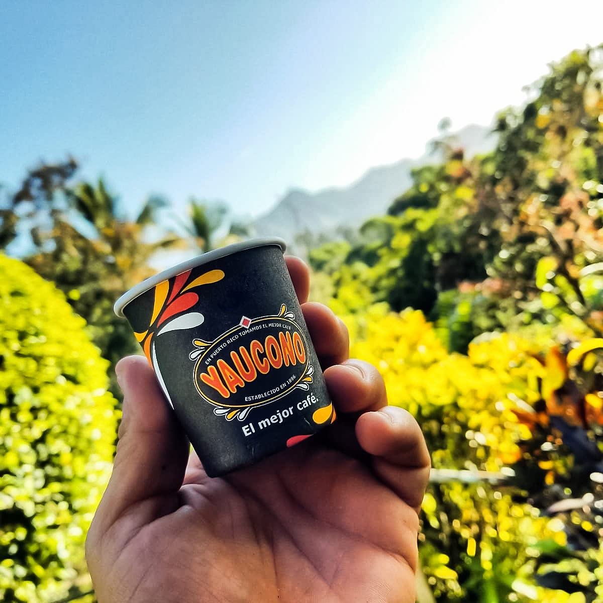 Yaucono aroma and smooth profile for a satisfying morning