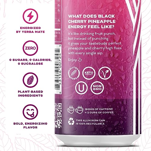 YERBAÉ plant-based ingredients list showing simple pronounceable components and antioxidants.