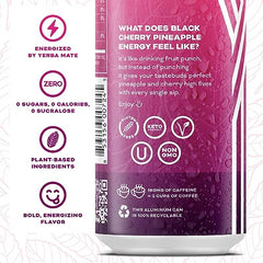 YERBAÉ plant-based ingredients list showing simple pronounceable components and antioxidants.