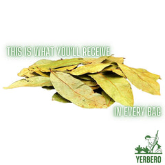 Closeup of dried Guanabana leaves from Yerbero for tea.