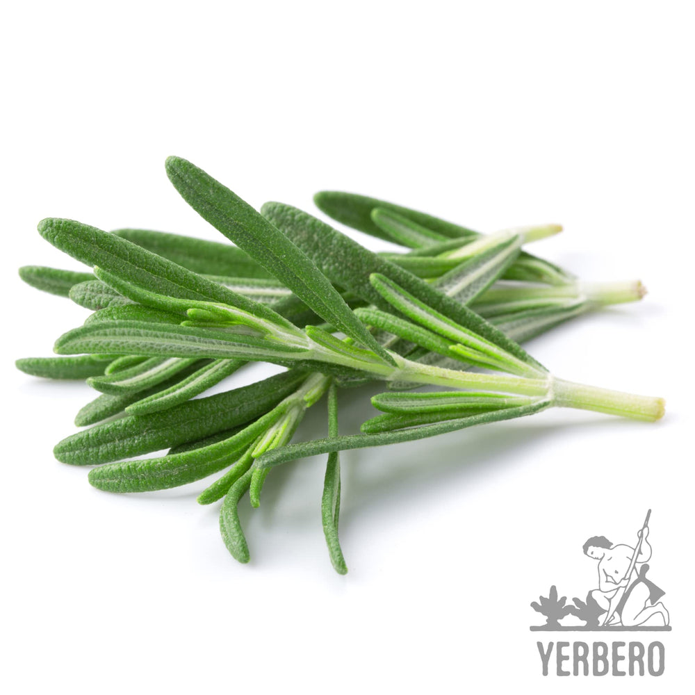 Yerbero rosemary tea stand-up bag on counter for easy storage