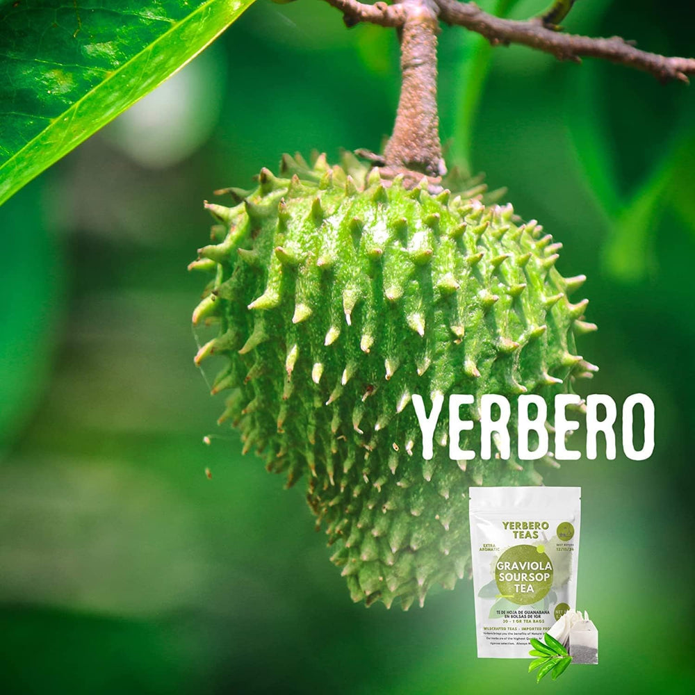Yerbero tea cup with steam conveys comforting daily ritual.