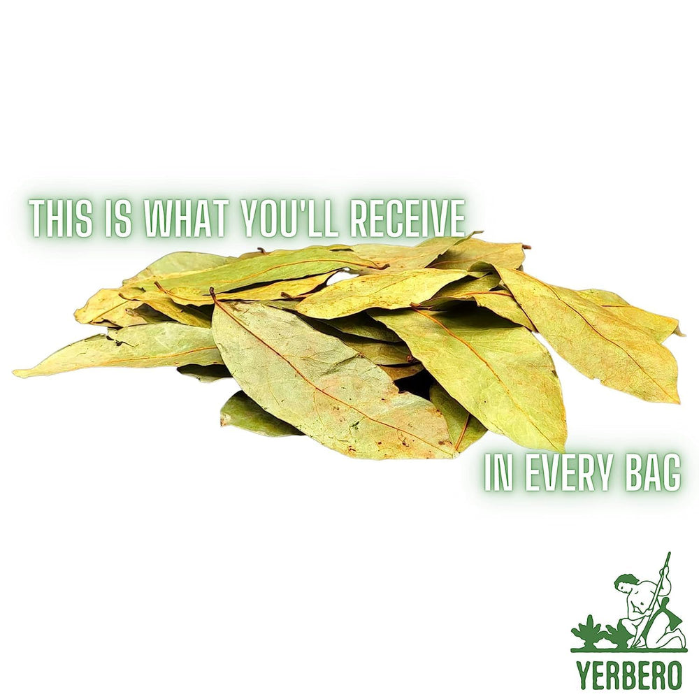 Yerbero whole dried graviola leaves closeup highlighting natural texture for brewing.