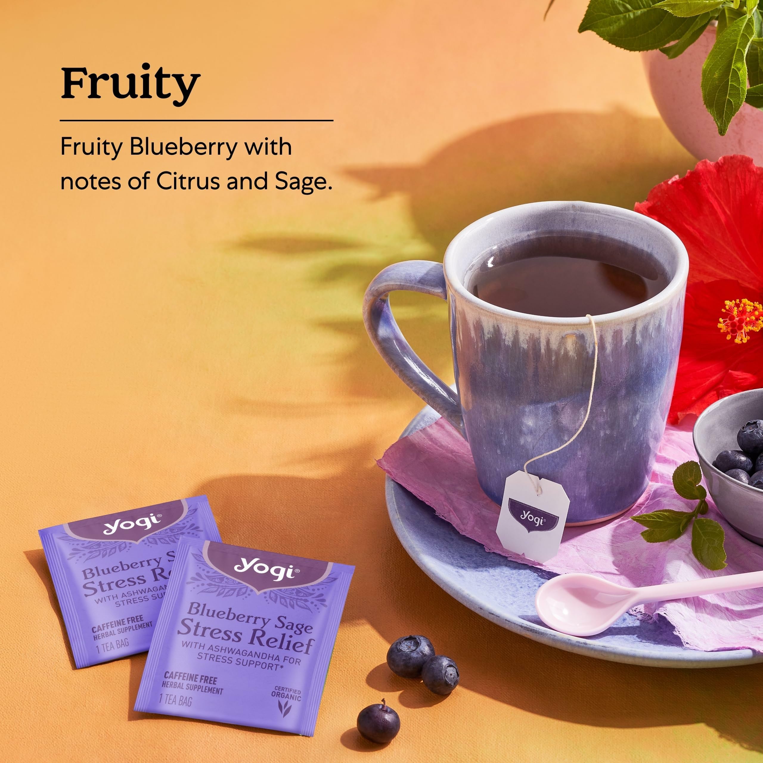Yogi Blueberry Sage ingredients showcase organic quality